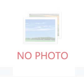 根據人類工效學怎樣選擇床墊 根據人類工效學怎樣選擇床墊